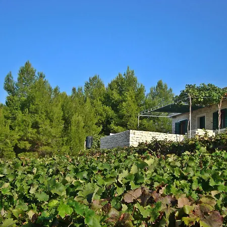 House Krunoslav *