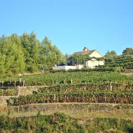 House Krunoslav