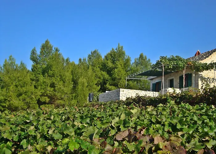 House Krunoslav *